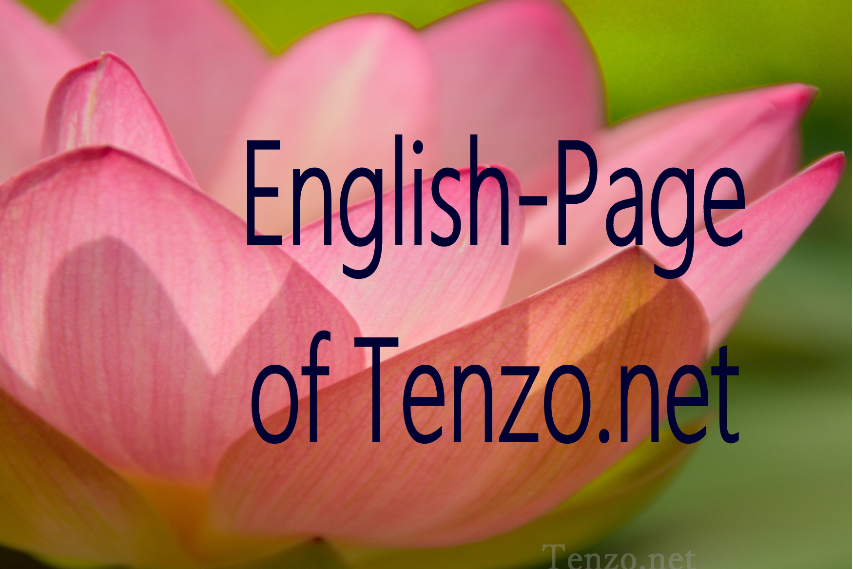 English-Page　of Tenzo.net